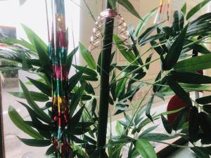 S__180715523.jpg